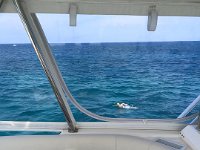 Me from Captain's view
